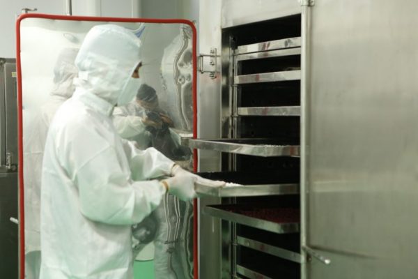 quy trình sản xuất viên nang cứng